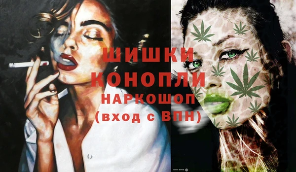 прущие грибы Волоколамск