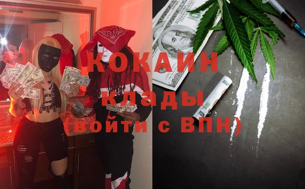 прущие грибы Волоколамск