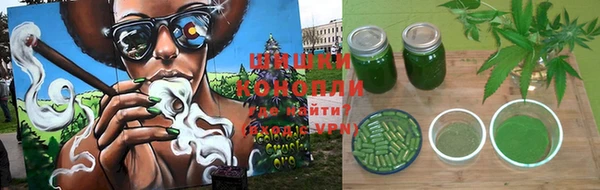 прущие грибы Волоколамск