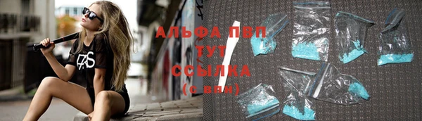 прущие грибы Волоколамск