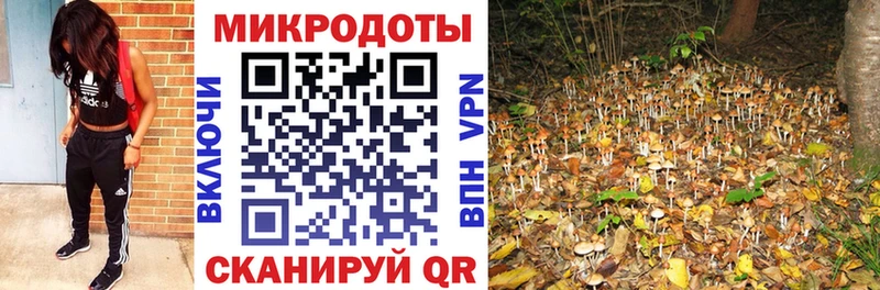 Галлюциногенные грибы прущие грибы  blacksprut ТОР  Серпухов 
